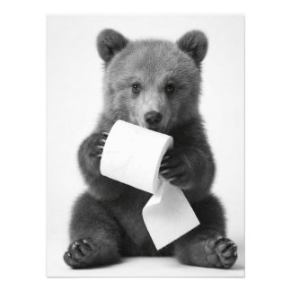 Foto Urso Fofo Segurando Papel Higiênico Minimalista Di