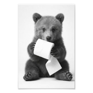 Foto Urso Fofo Segurando Papel Higiênico Minimalista Di