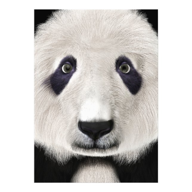 Foto Urso Panda (Frente)