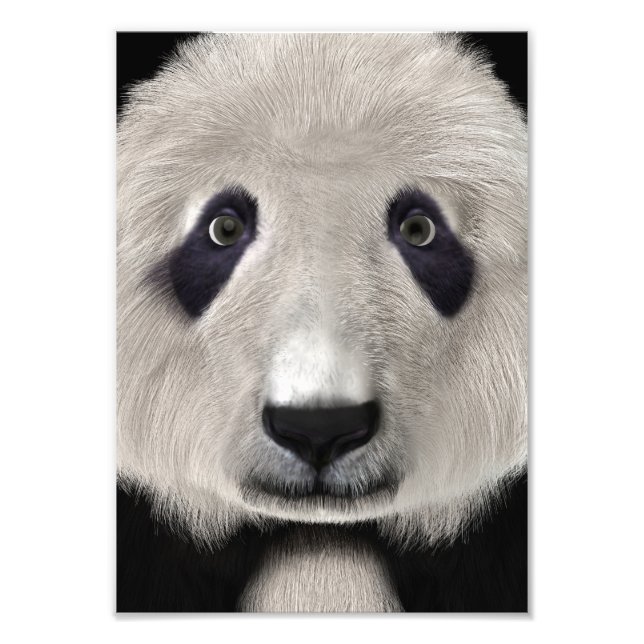 Foto Urso Panda (Frente)
