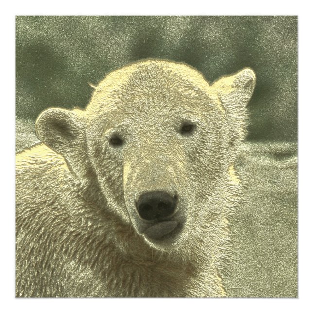 Foto urso polar metálico (Frente)
