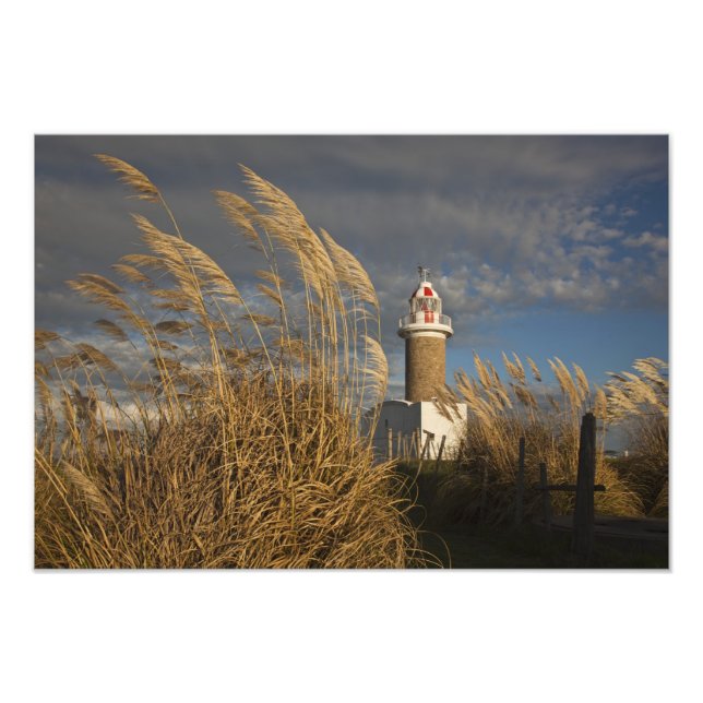 Foto Uruguai, Departamento de Montevidéu, Montevidéu. (Frente)