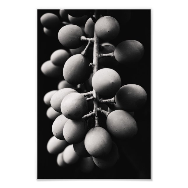 Foto uvas para um dia azedo (Frente)