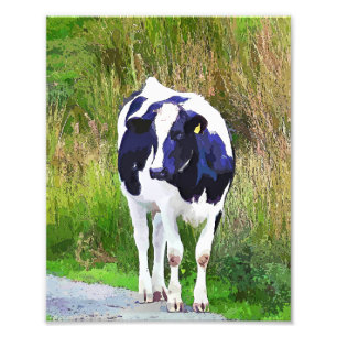 FOTO VACAS