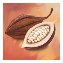 Vagem de Cacau
