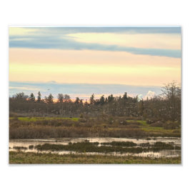 Foto Vale de Guemes, Ilha de Guemes