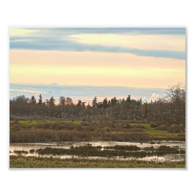 Foto Vale de Guemes, Ilha de Guemes (Frente)