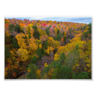 Foto Vale do Rio Corte, Queda, Michigan