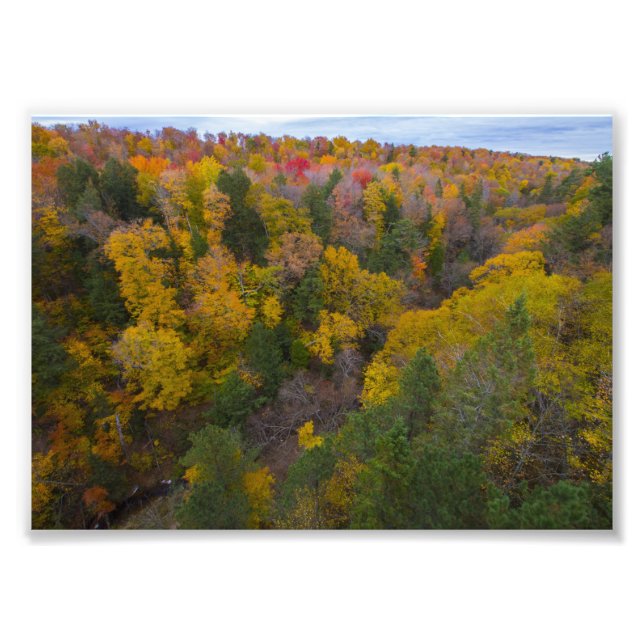 Foto Vale do Rio Corte, Queda, Michigan (Frente)