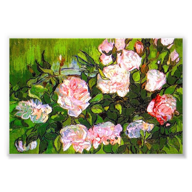 Foto Van Gogh ainda vive com rosas rosa (Frente)