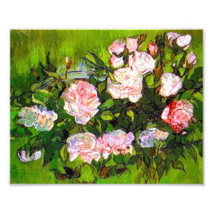 Foto Van Gogh ainda vive com rosas rosa