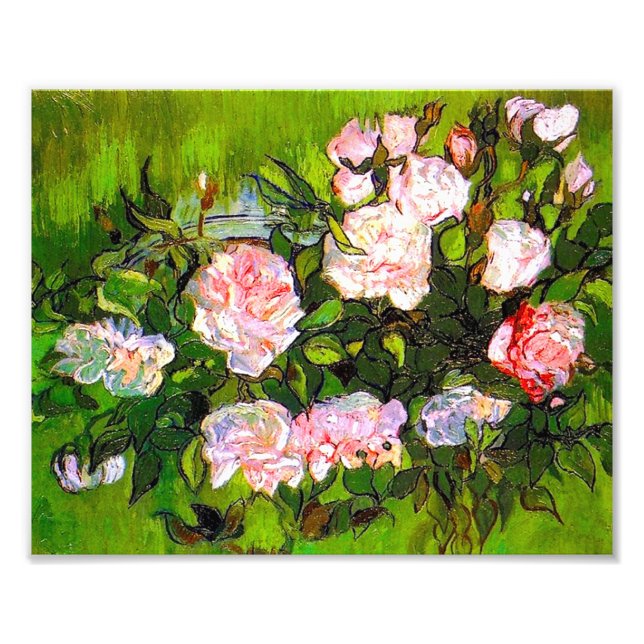 Foto Van Gogh ainda vive com rosas rosa (Frente)