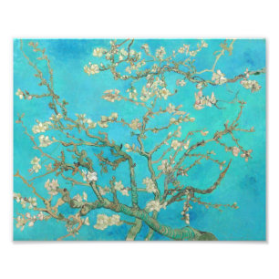 Foto Van Gogh Almond Blossoms