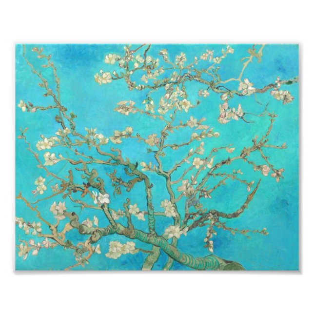 Foto Van Gogh Almond Blossoms (Frente)