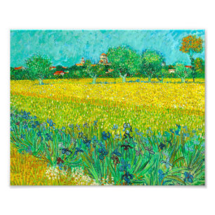 Foto Van Gogh Field com Irrises Perto de Arles
