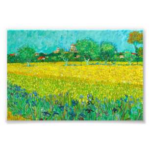 Foto Van Gogh Field com Irrises Perto de Arles
