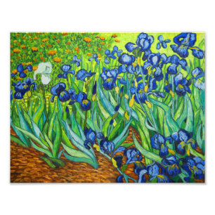 Foto Van Gogh Irises