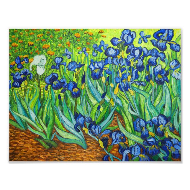 Foto Van Gogh Irises (Frente)