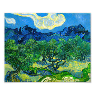 Foto Van Gogh Olive Trees em Paisagem Montanhosa