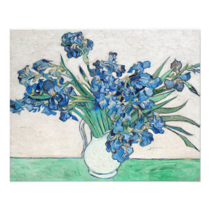 Foto Van Gogh Painting of Irises from (1890)