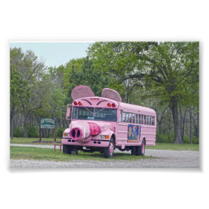 Foto Veículo com rodas cor-de-rosa de Ben, Texas,
