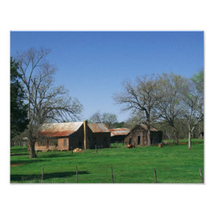 Foto velha da herdade