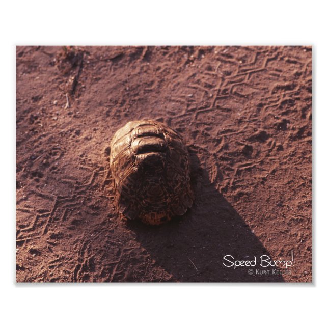 Foto Velocidade (Frente)