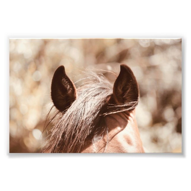 Foto Velvet Brown Horse Ears and Bangs (Frente)
