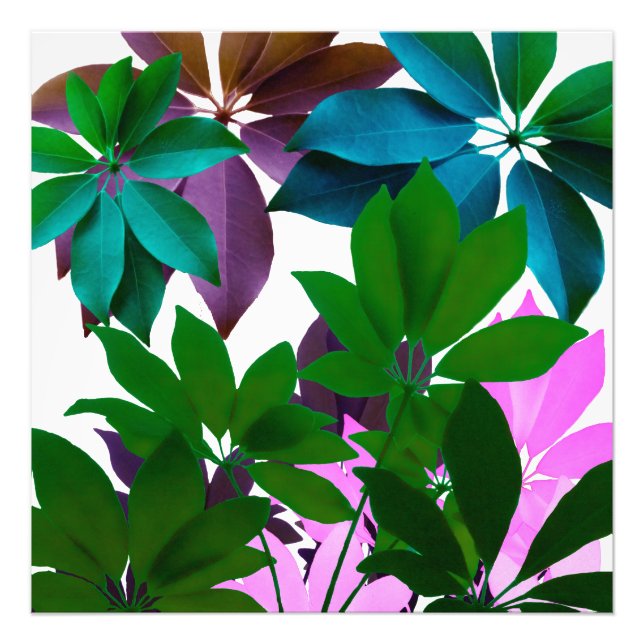 Foto Verde e rosa deixam papel fotográfico profissional (Frente)
