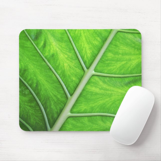 Foto verde tropical Mousepad da natureza da (Com mouse)