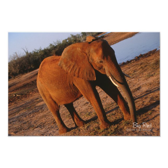 Foto Vermelho Grande (Frente)