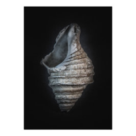 Foto Versão de cor dos reservatórios n.o 6