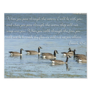 Foto Verso da bíblia do 43:2 de Isaiah com gansos da