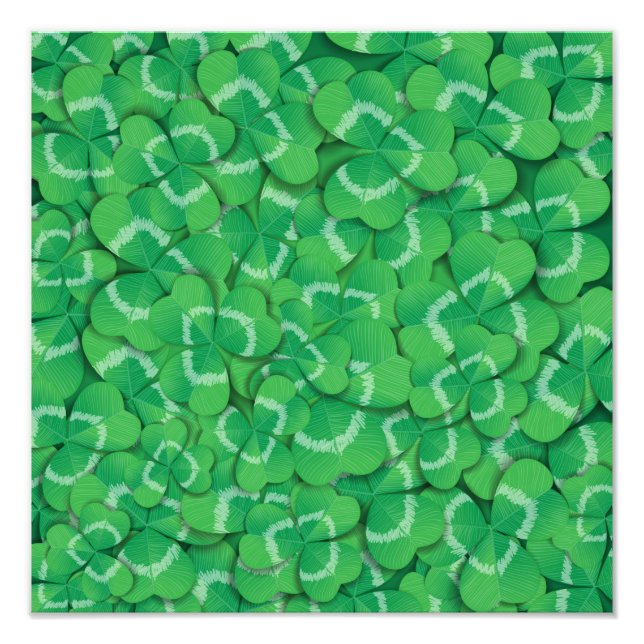 Foto Vestuário (Frente)