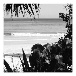 Foto Viagem Beach Scene Summer Black White Tropical