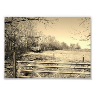 Foto Vida no campo 7x5 Prin fotográfico preto e branco
