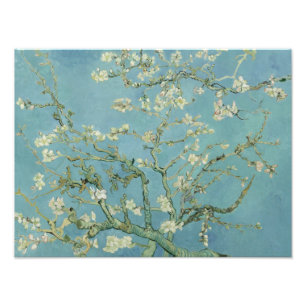 Foto Vincent van Gogh - Almond Blossom