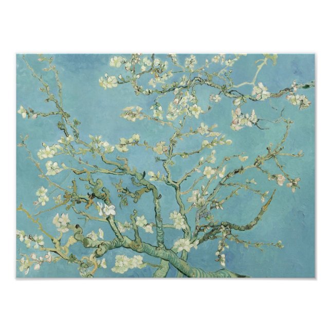 Foto Vincent van Gogh - Almond Blossom (Frente)