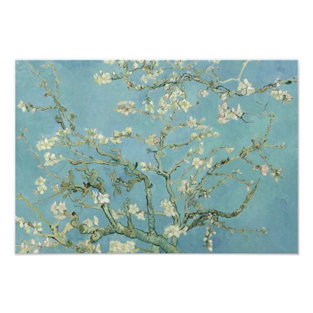 Foto Vincent van Gogh - Almond Blossom (Frente)