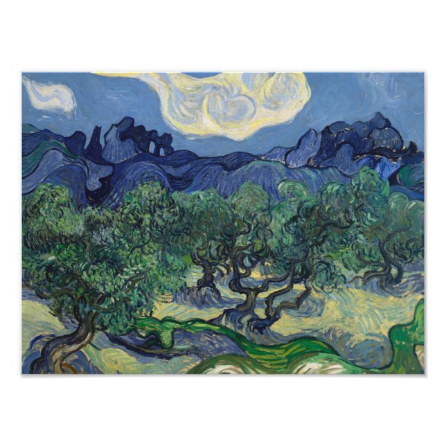 Foto Vincent van Gogh - As Oliveiras (Frente)