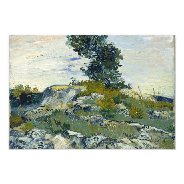 Foto Vincent van Gogh - As Rochas (Frente)