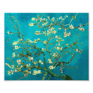 Foto Vincent Van Gogh Blossoming Almond Tree Arte Flora