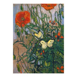 Foto Vincent van Gogh - Borboletas e papagaios