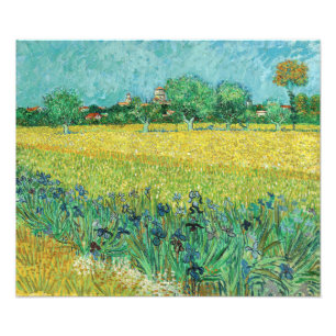 Foto Vincent van Gogh - Campo com Íris perto de Arles