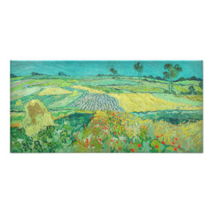 Foto Vincent van Gogh - Campos de trigo perto de Auvers