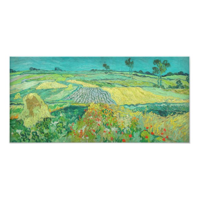 Foto Vincent van Gogh - Campos de trigo perto de Auvers (Frente)