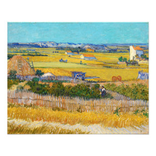 Foto Vincent van Gogh - Colheita em La Crau