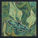 Foto Vincent Van Gogh - Excelente Peacock Moth<br><div class="desc">Vincent Van Gogh - Excelente Peacock Moth</div>