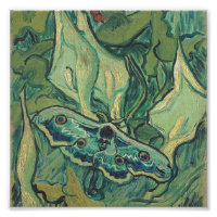 Vincent Van Gogh - Excelente Peacock Moth