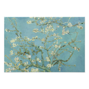 Foto Vincent van Gogh - Flor de Amendoeira